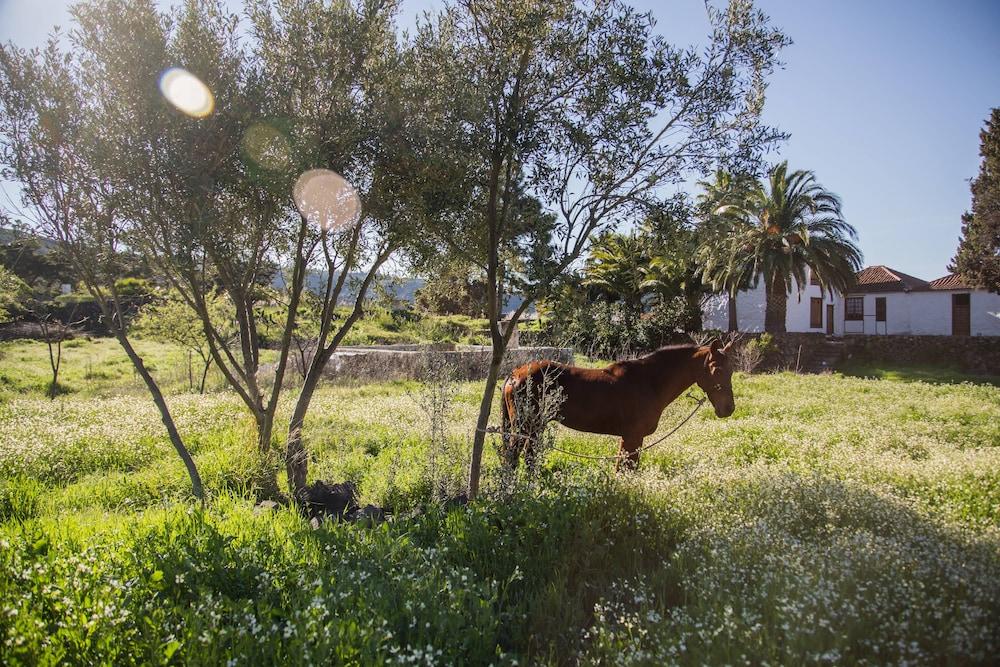 Hotel La Casona Del Patio Santiago del Teide Zewnętrze zdjęcie