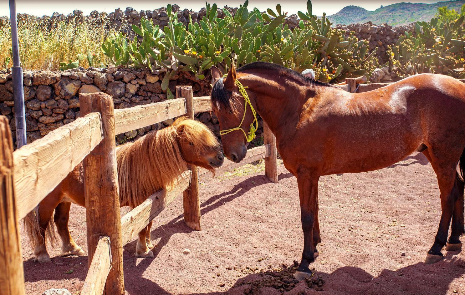 Hotel La Casona Del Patio Santiago del Teide Zewnętrze zdjęcie